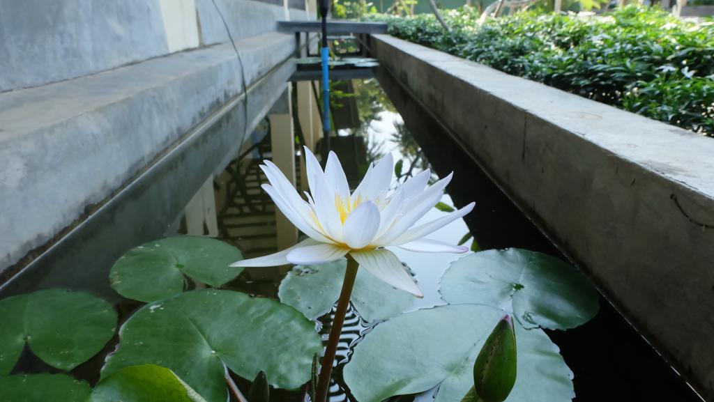 Lullaby Boutique Resort Thap Sakae Esterno foto